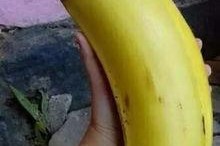 大香蕉国产情侣